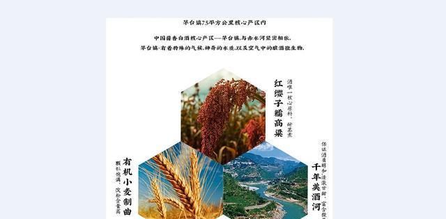 t019120e8acdb7c0a0a.jpg